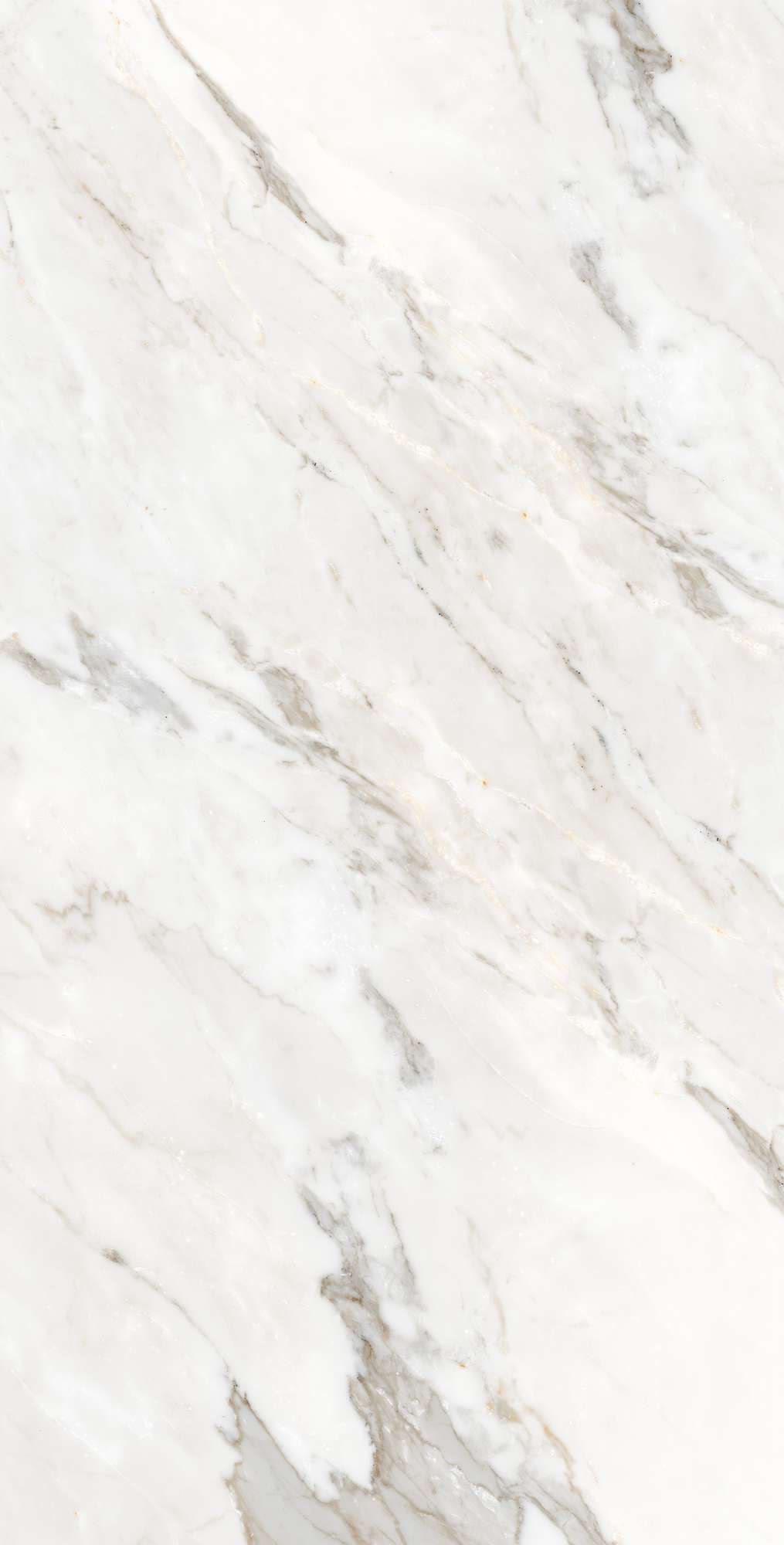 CALACATTA ORO — Элегантность мрамора в вашем интерьере FP1006-A Arcadia Ceramica - Вид №2