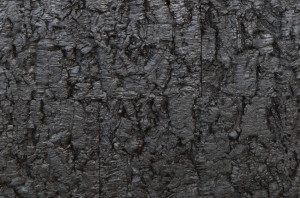 906 070 615 Рельефное пробковое настенное покрытие Bark Black GRANORTE RustiCork