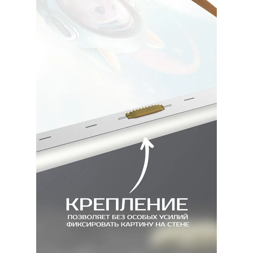 Картина на холсте Мопс 30x30 см 87233241 STLM-2101025 FBRUSH  - Вид №5
