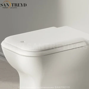 PLA0898RZP Крышка сиденье для унитаза Agape Memory