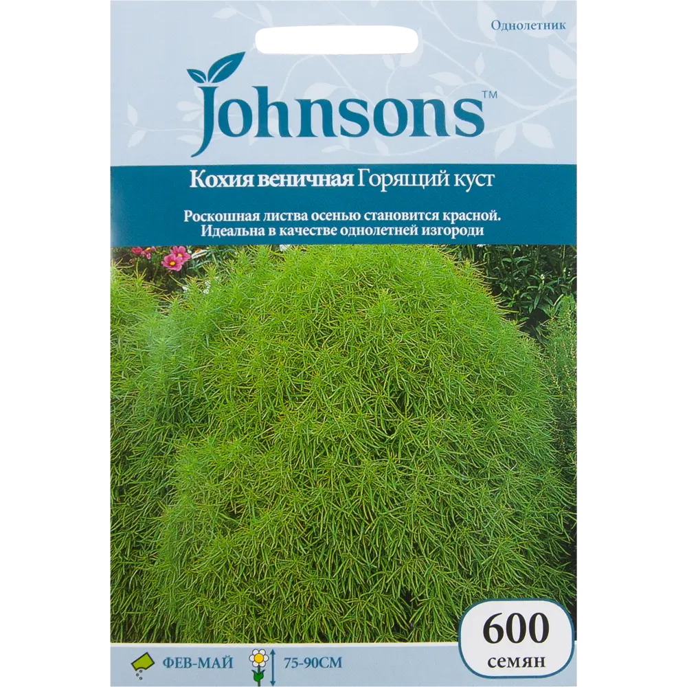 Кохия веничная Горящий куст 13877274 STLM-2205324 JOHNSONS 