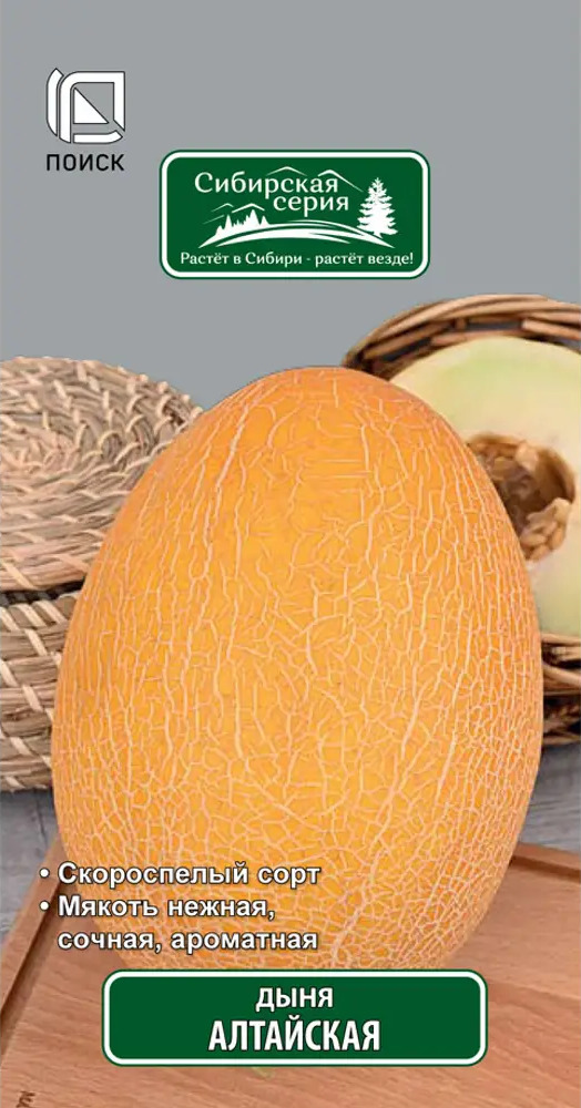 Дыня «Алтайская» от ПОИСК — сибирский скороспелый сорт 18358684