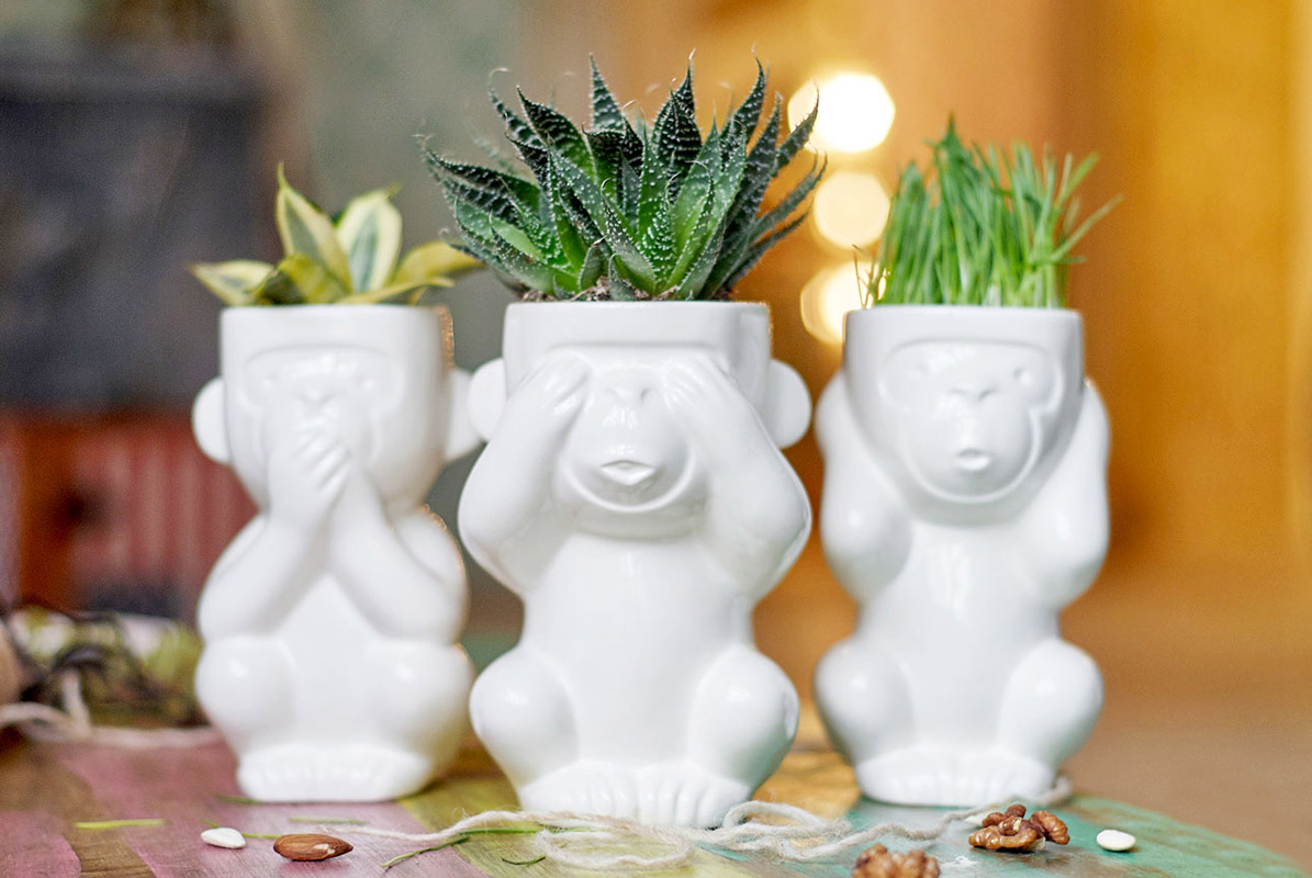 Горшок для растений Eco Игнорик ЭКОЧЕЛОВЕКИ 2003 - Вид №1