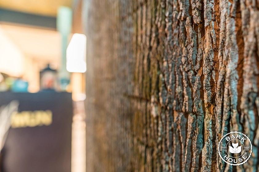 Freund GmbH Обивка из коры тополя Nature sun-id-1388912 - Вид №1