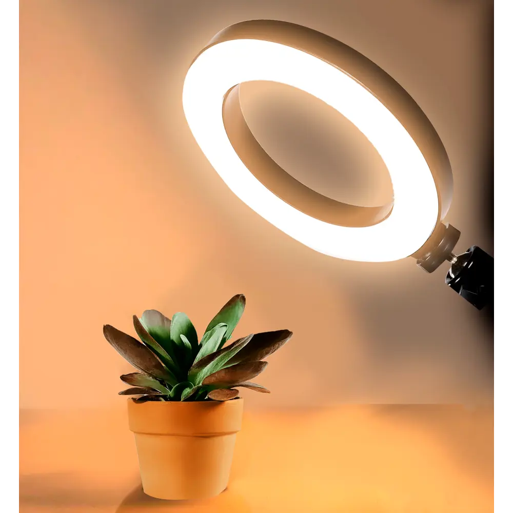 Кольцевая светодиодная лампа Santreyd 20 см для профессиональной съемки 85600162 STLM-0064445 - Вид №2