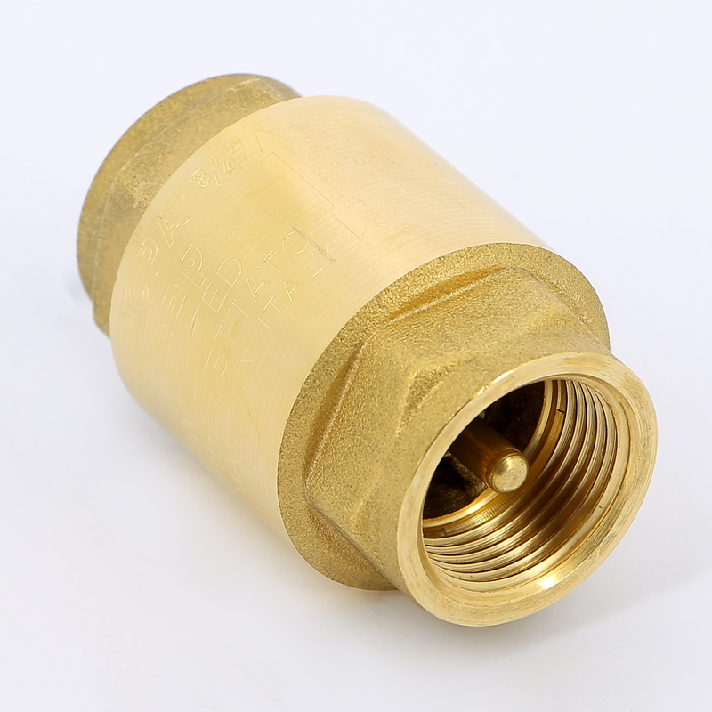 Клапан обратный пружинный EUROPA с металлическим затвором ITAP 3/4" 10034 - Вид №1