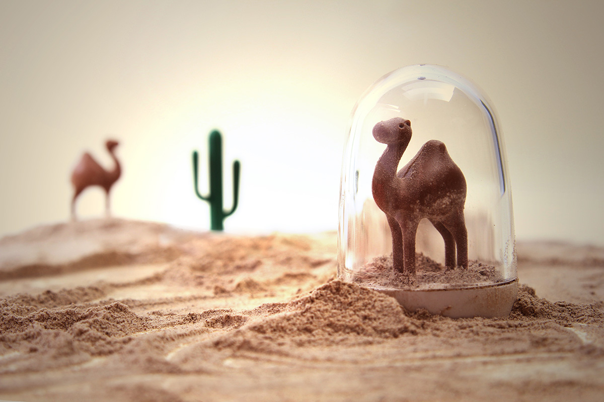 QL10125-WH Ёмкости для специй в наборе animal parade Qualy  - Вид №5