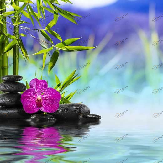 WP00261 Фотообои Verol Фотообои decoline 1х1 м