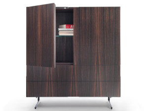 Деревянный шкаф для хранения с распашными дверями