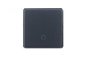 16377110 Радиовыключатель SN-R1 Серый, закругленные углы HP-SN-R1-gray HITE PRO