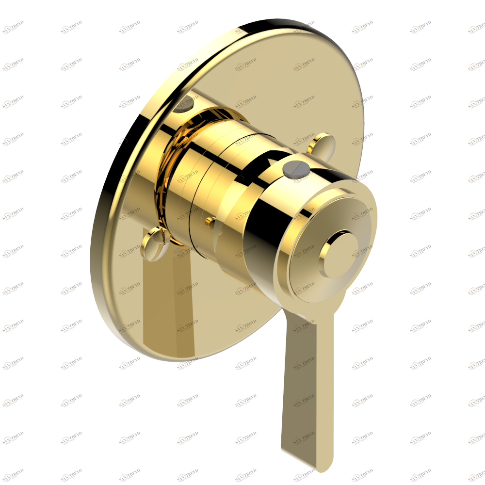 G58-6540B Внешняя часть смесителя для душа однорычажного встраиваемого в стену 06540 Thg-paris Spirit с рукоятками Золото G58 6540B CAT.F