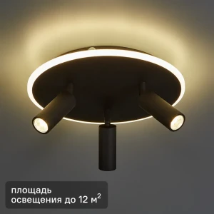Светильник потолочный 20046SMA/03 цвет черный