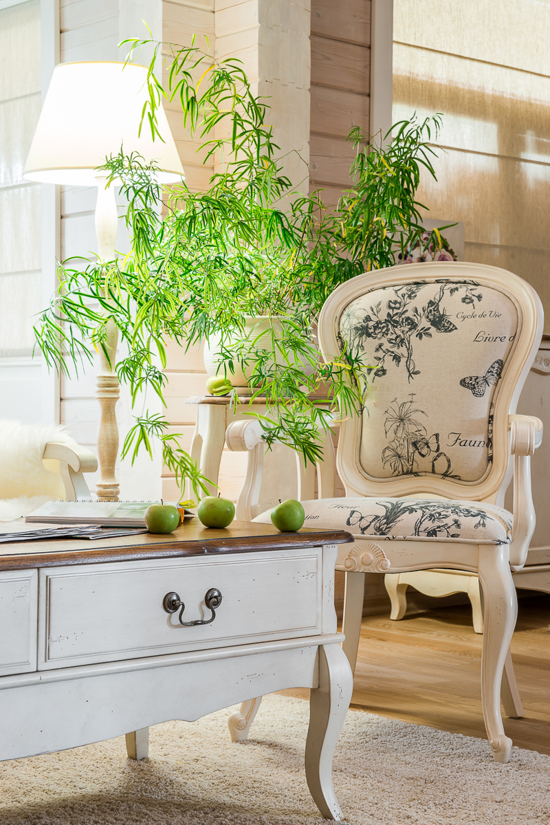 Журнальный столик белый с ящиками Mobilier de Maison ДОМАШНЯЯ ОБСТАНОВКА MOBILIER DE MAISON 017233 Белый Santreyd  - Вид №5