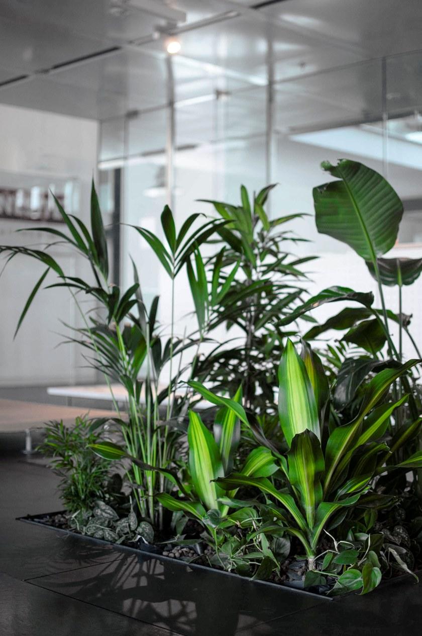 NESITE Гибкая система растений пола sun-id-1389425 - Вид №3