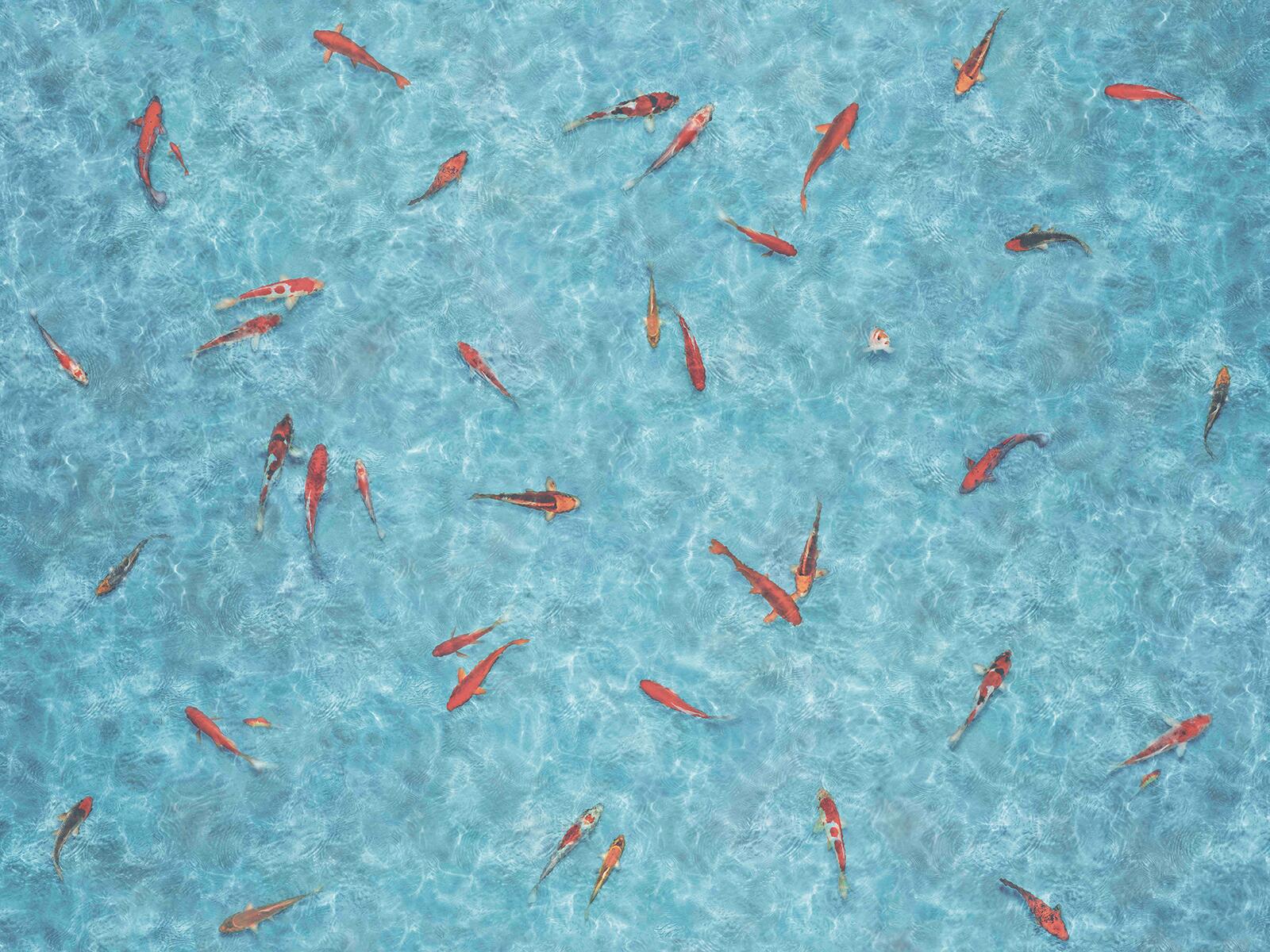 Нескользящий виниловый пол BEAUFLOR Moonlight ARCH-00152099 - Вид №2