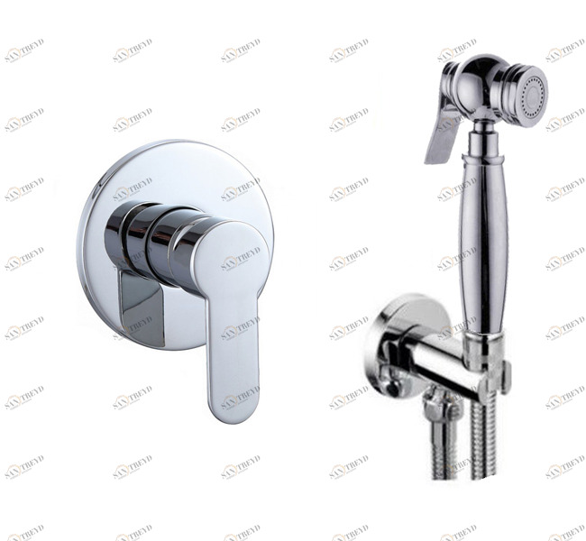 Смеситель с гигиеническим душем Ganzer Haiger GZ5202 Хром Ganzer Германия 14051