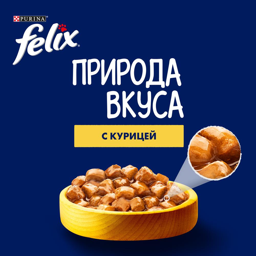 ПР0049076 Корм для кошек Природа вкуса с курицей в соусе, пауч 85 г FELIX  - Вид №4