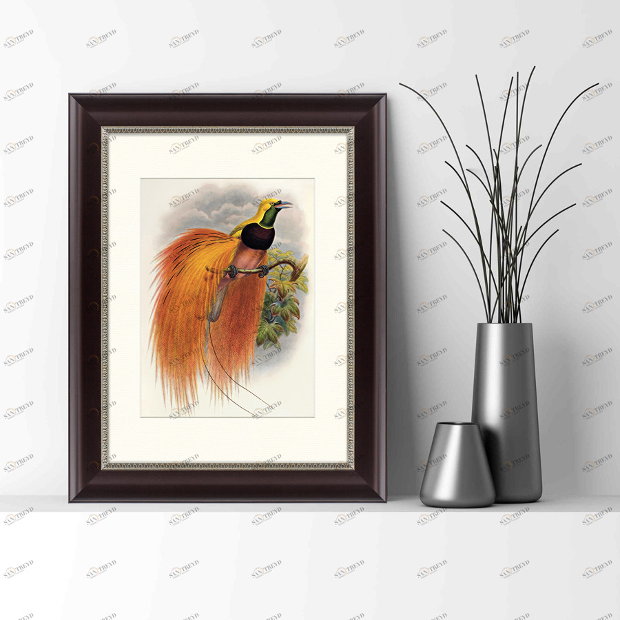 Литография на тонированной бумаге 34х45 см "Красная райская птица, 1885г" КАРТИНЫ В КВАРТИРУ  093840 Бежевый;белый;черный;разноцветный 