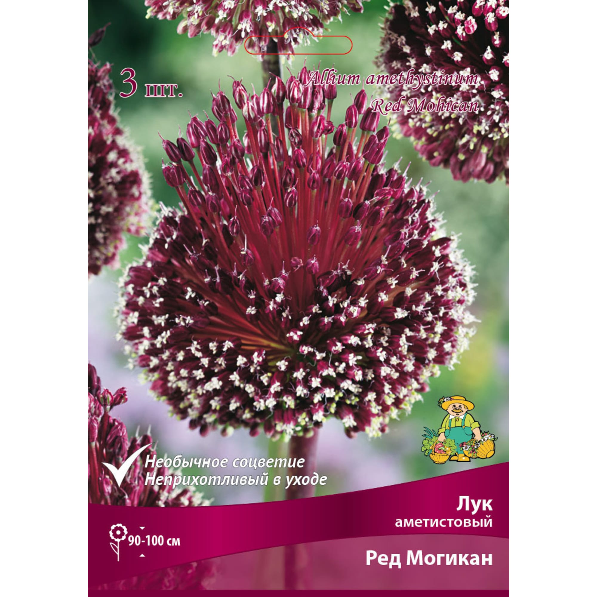 Лук аметистовый «Ред Могикан» размер луковицы 10/12, 3 шт Santreyd 82661879