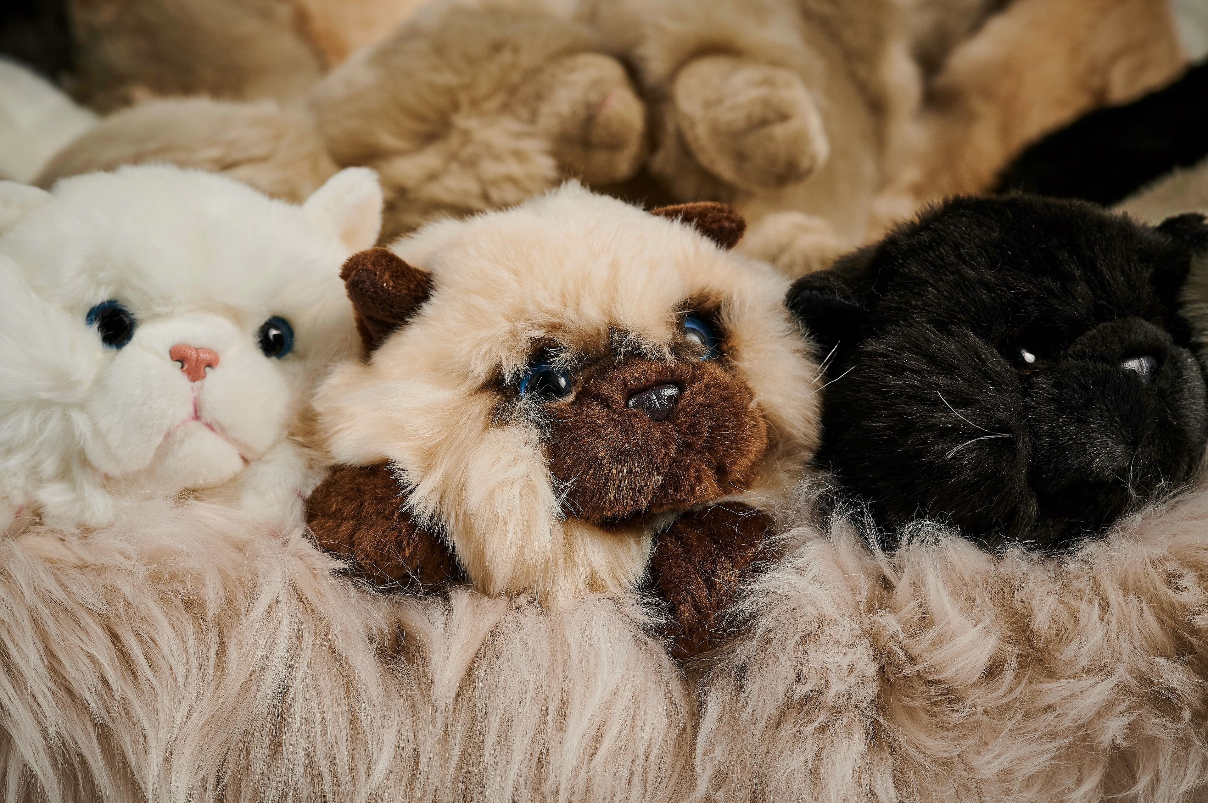 Полиэфирное кресло APCOLLECTION Aristo ARCH-00024782 - Вид №5