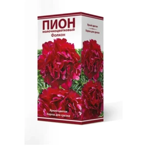 Пион травянистый Фолкон луковица 2-3 83600337 STLM-2093395