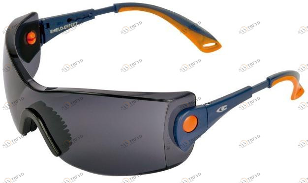 COFRA Рабочие очки Functional sun-id-1483133