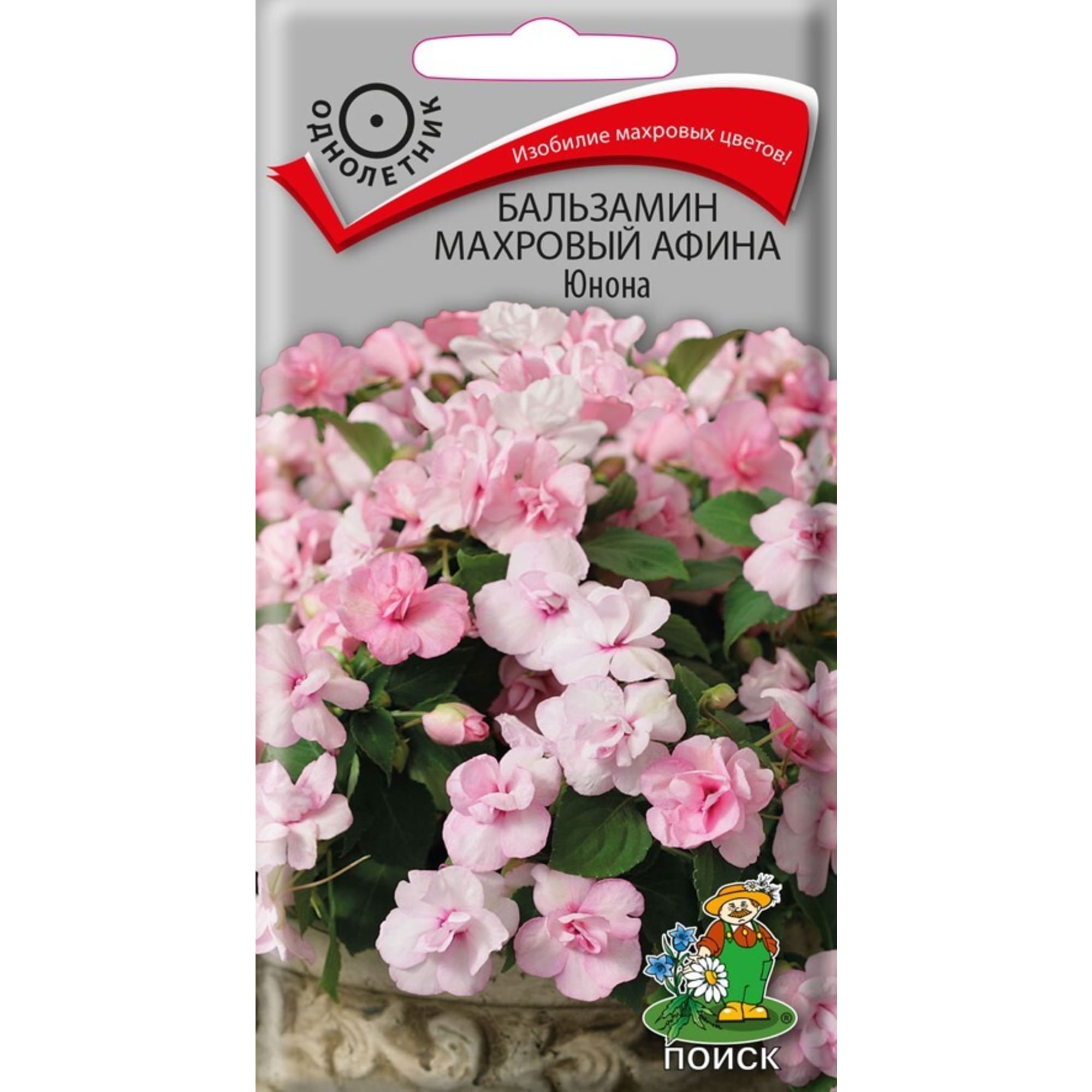 83227374 Семена Бальзамин махровый «Афина Юнона» Santreyd 