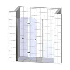 Душевая дверь в нишу 160x190 GK-103C GUTEWETTER LUX DOOR