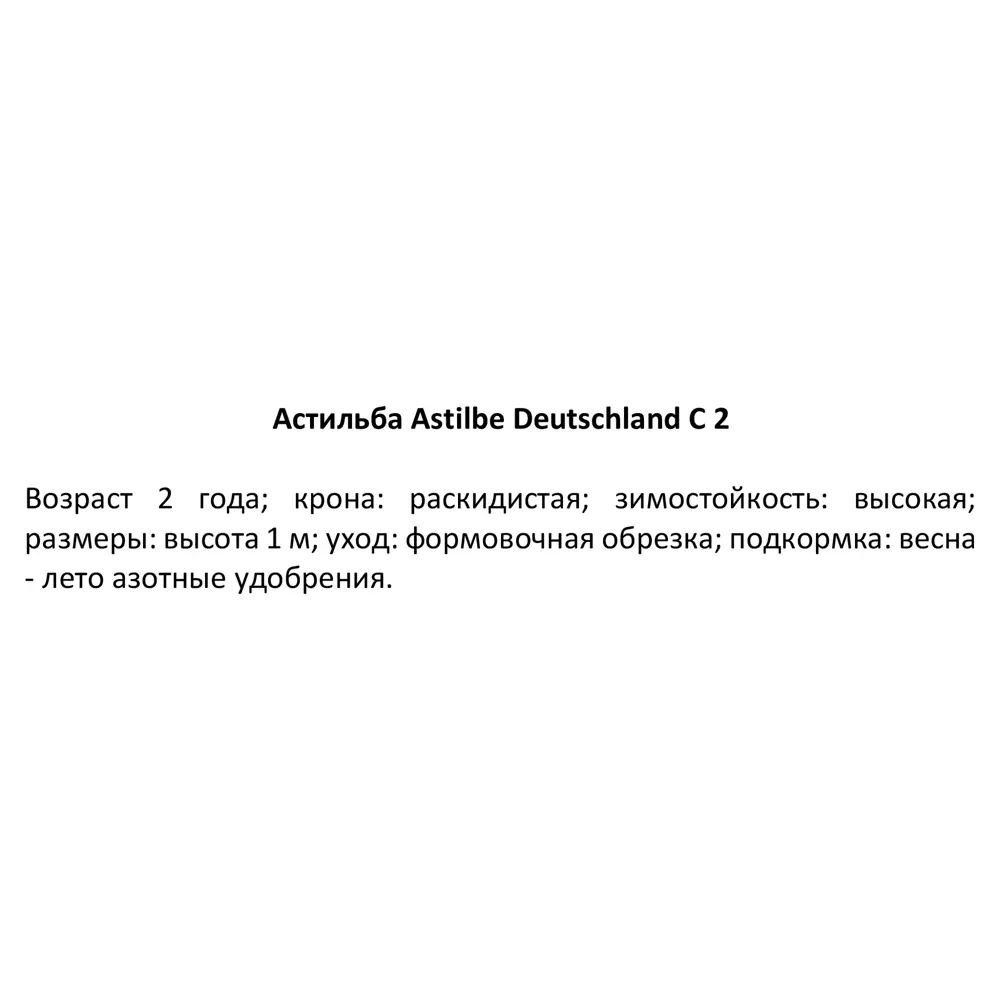 Астильба Дойчланд ø15 h40 см 84832020 STLM-2159347 PLANTMARKET 