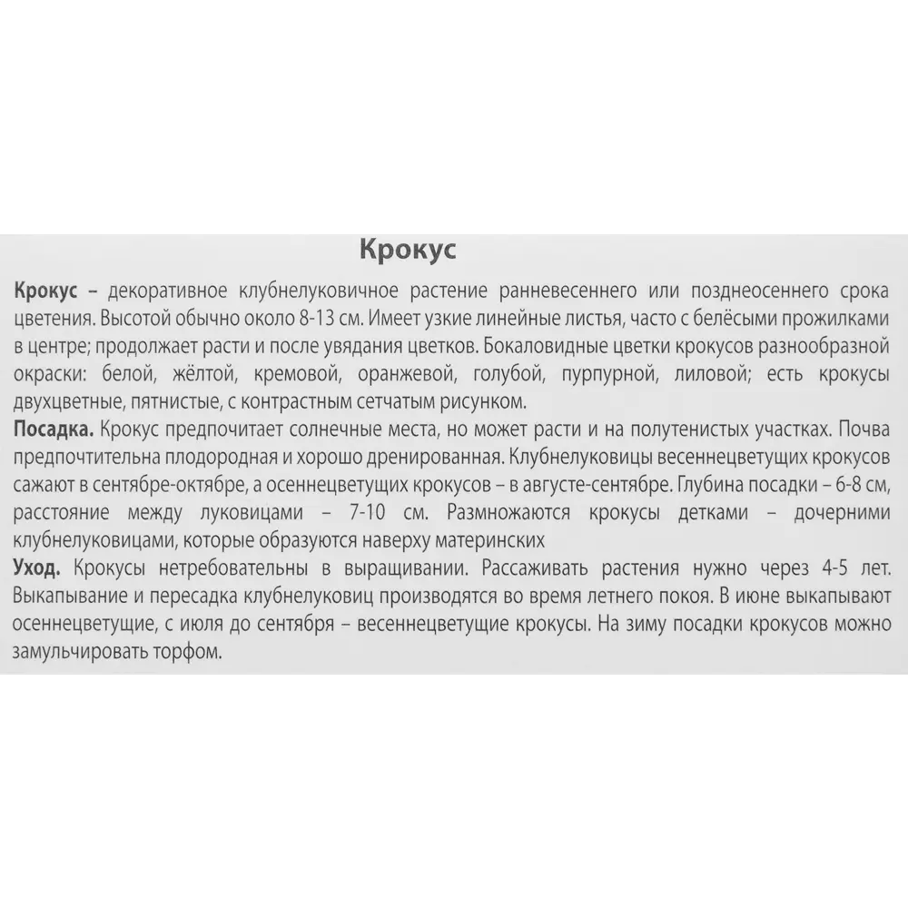 Крокус Зибера Триколор луковица 5/7, 10 шт. 88294629 STLM-2026256 Santreyd  - Вид №2