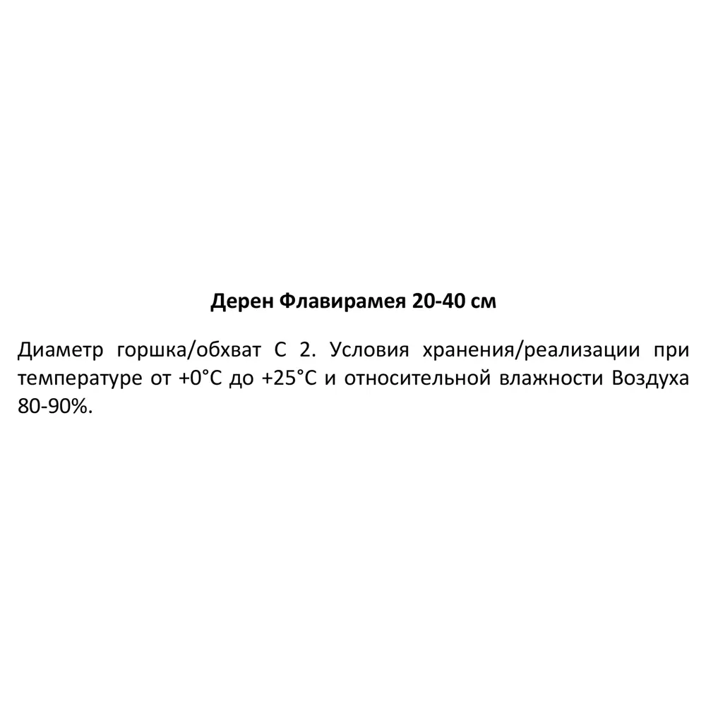 Дерен Флавирамеа h20-40 см 85320199 STLM-2157456 Santreyd  - Вид №2