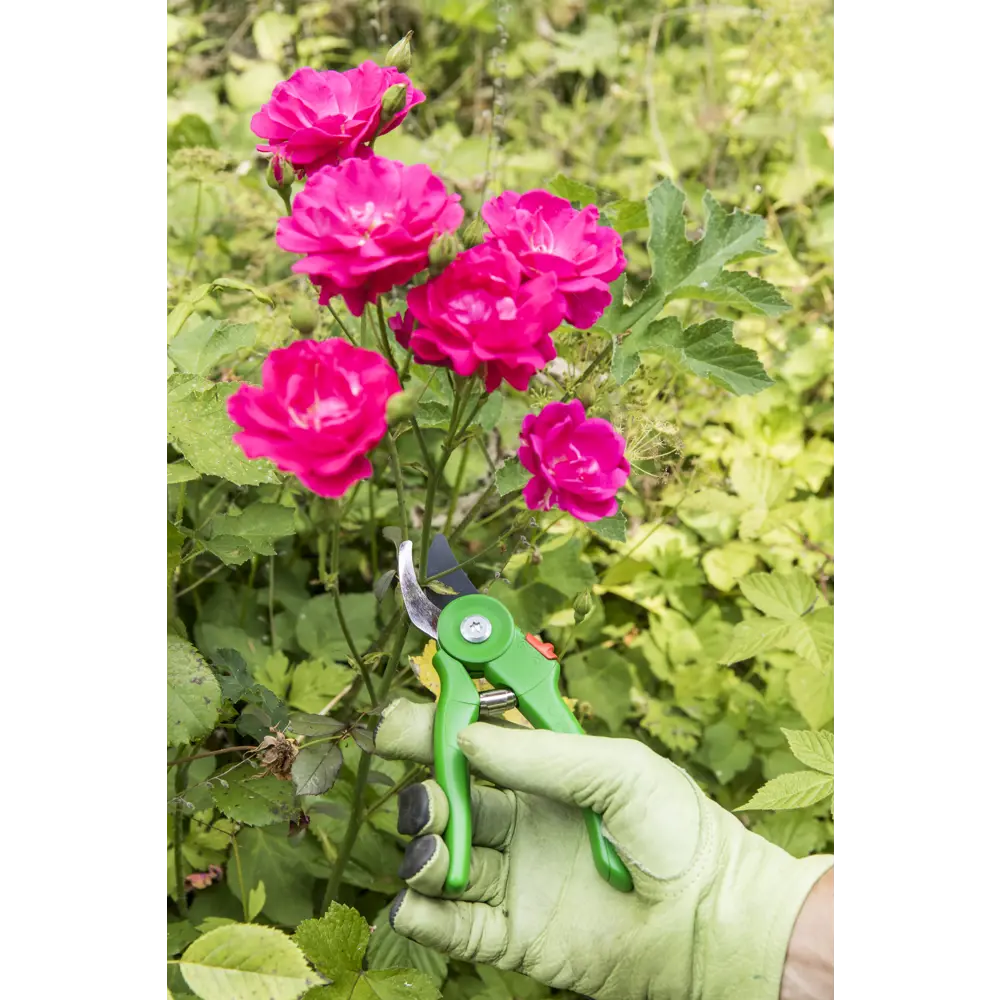 Секатор Geolia для точной обрезки ветвей 81966048 STLM-0015857 - Вид №7