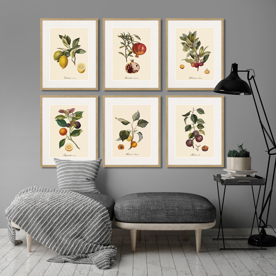 Литография на тонированной бумаге 52х42 см Juicy fruit lithography №3, 1870г. КАРТИНЫ В КВАРТИРУ  264434 Бежевый;белый;зеленый;разноцветный  - Вид №2