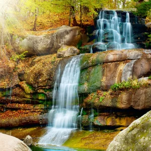 C1-091 Фотообои DIVINO Collection C 2.7х3 м