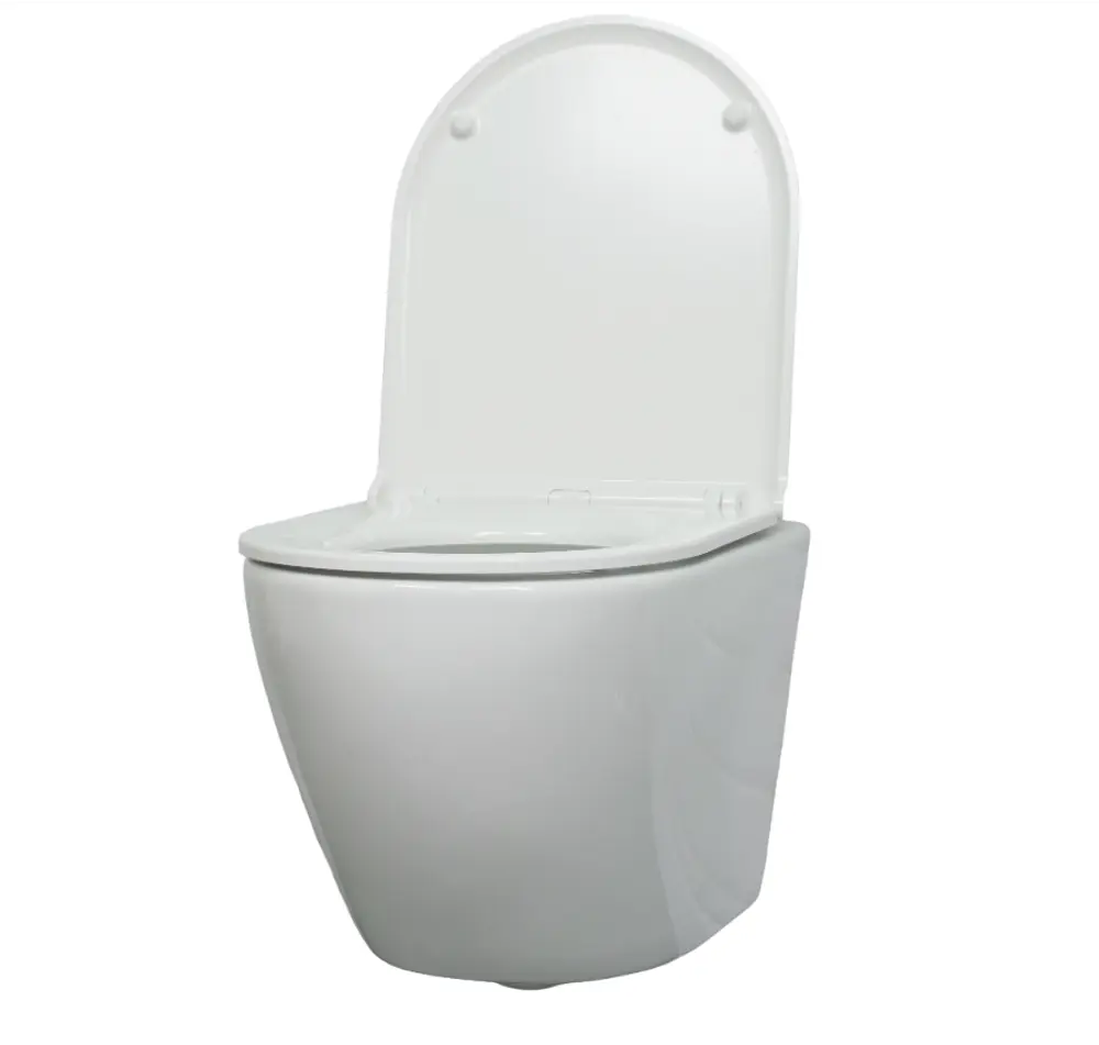 Alcora Encanto — подвесной унитаз с микролифтом и безободковой системой 89373664