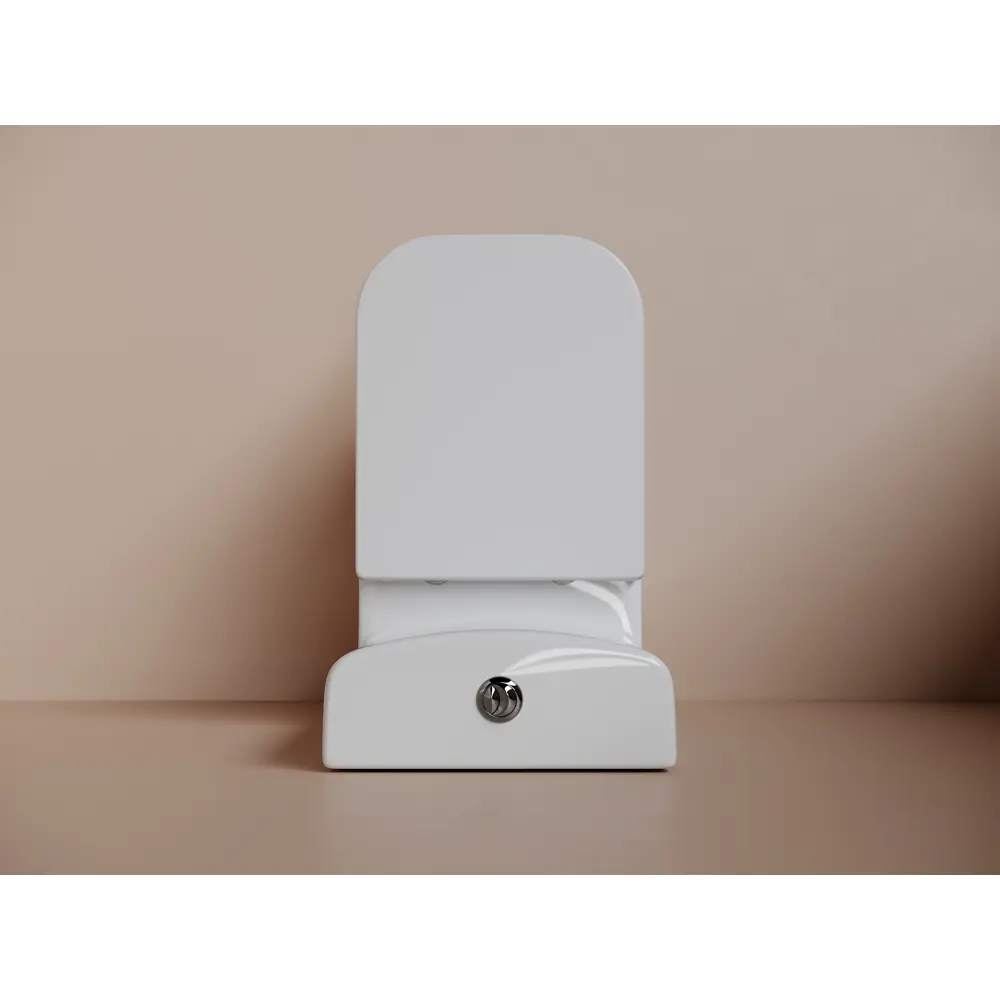 Унитаз-компакт Flo Square безободковый сиденье с микролифтом двойной смыв цвет Santreyd STLM-2064416 - Вид №5