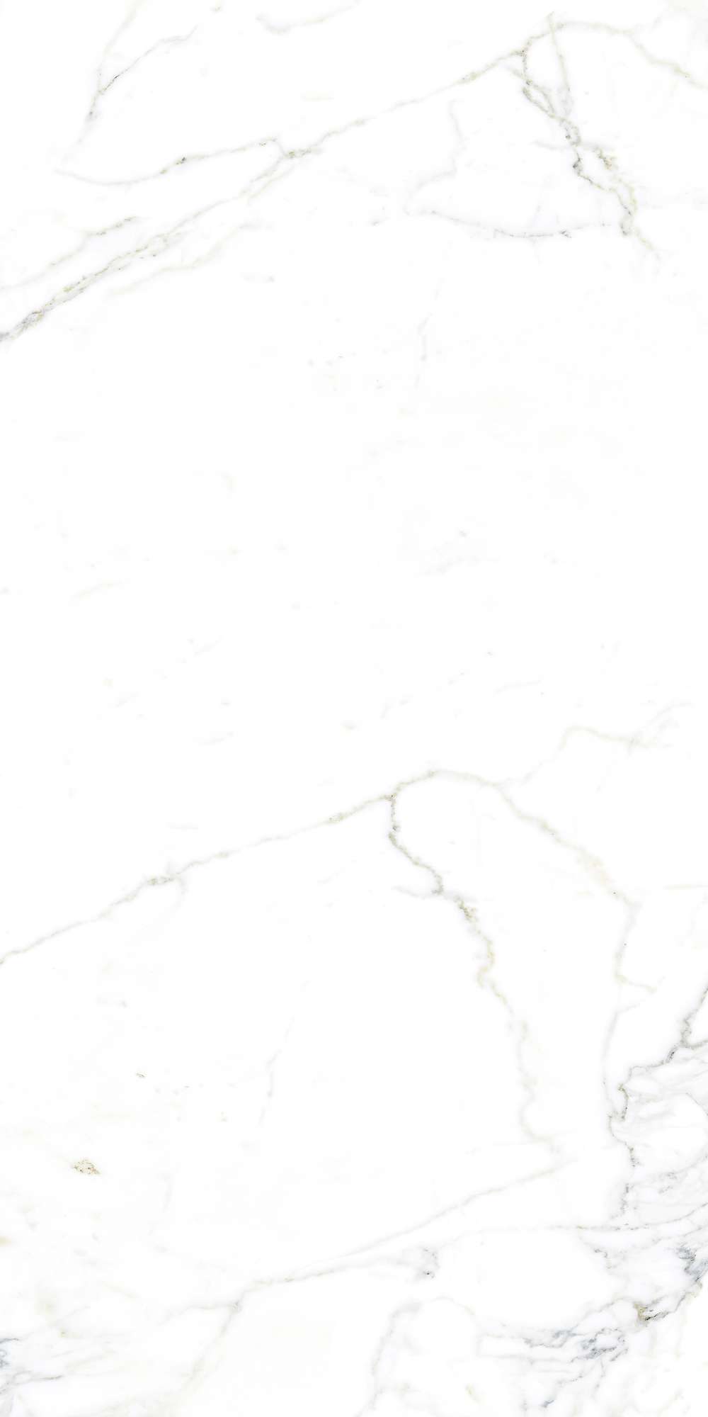 LUCE STATUARIO — Элегантность мрамора в вашем интерьере FP1002-A Arcadia Ceramica - Вид №2