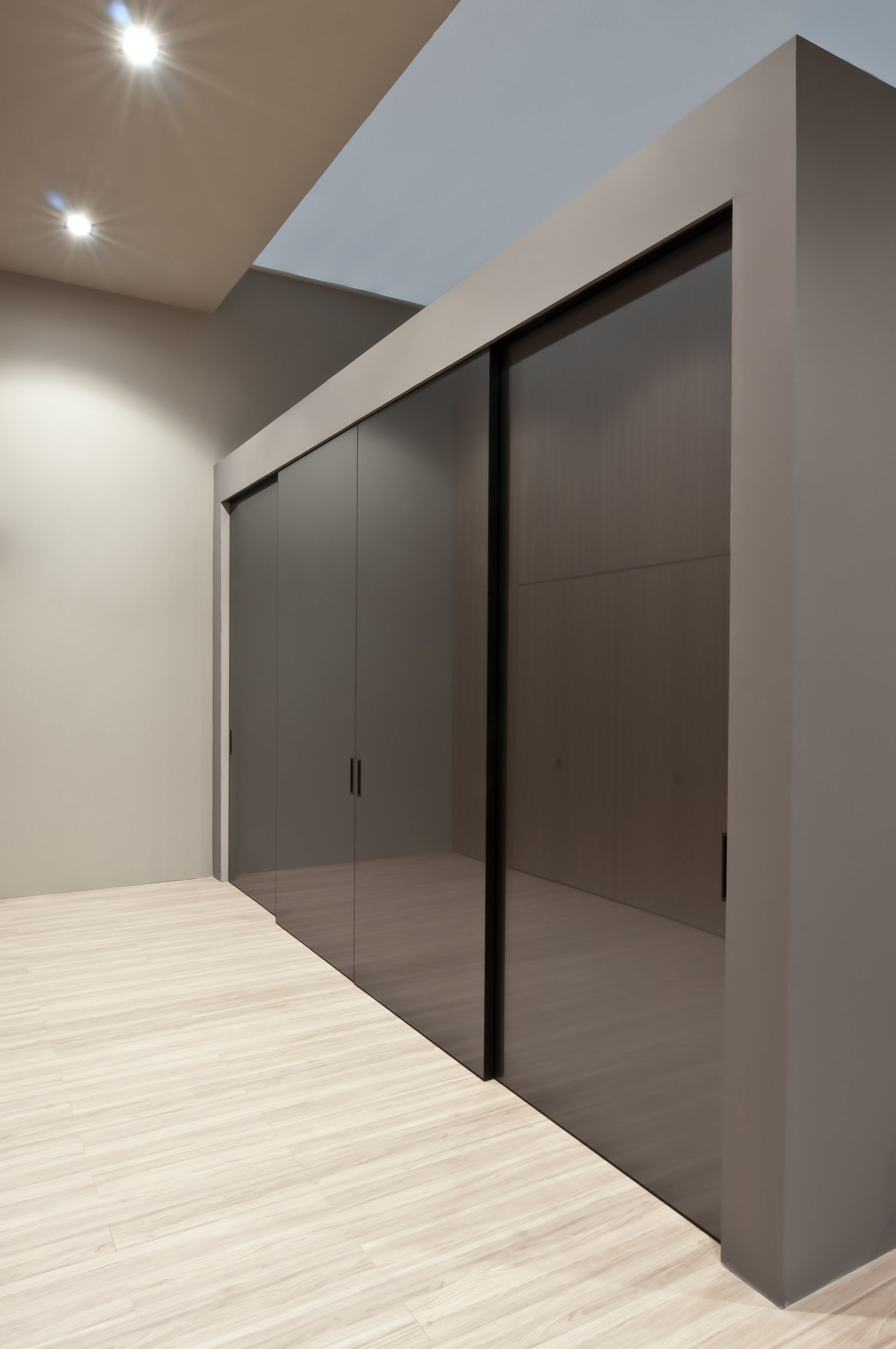 Стеклянная дверь ALBED Re-Trait ARCH-00127561 - Вид №1