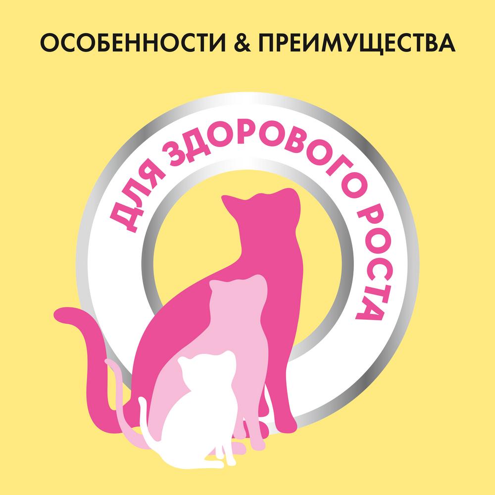 Т0025179 Корм для котят до года, курица, молоко, овощи сух. 400 г Friskies  - Вид №3