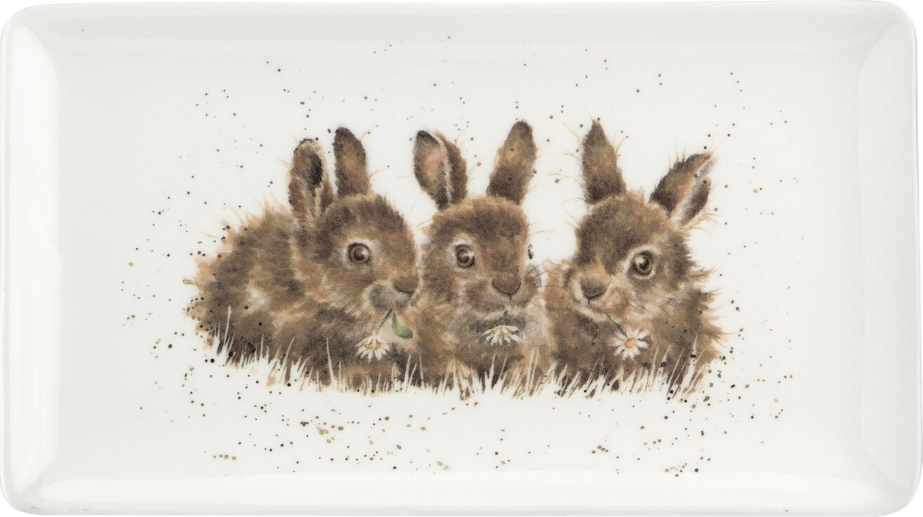10669766 Royal Worcester Блюдо сервировочное прямоугольное Royal Worcester "Забавная фауна.Крольчата" 20х8см Фарфор 
