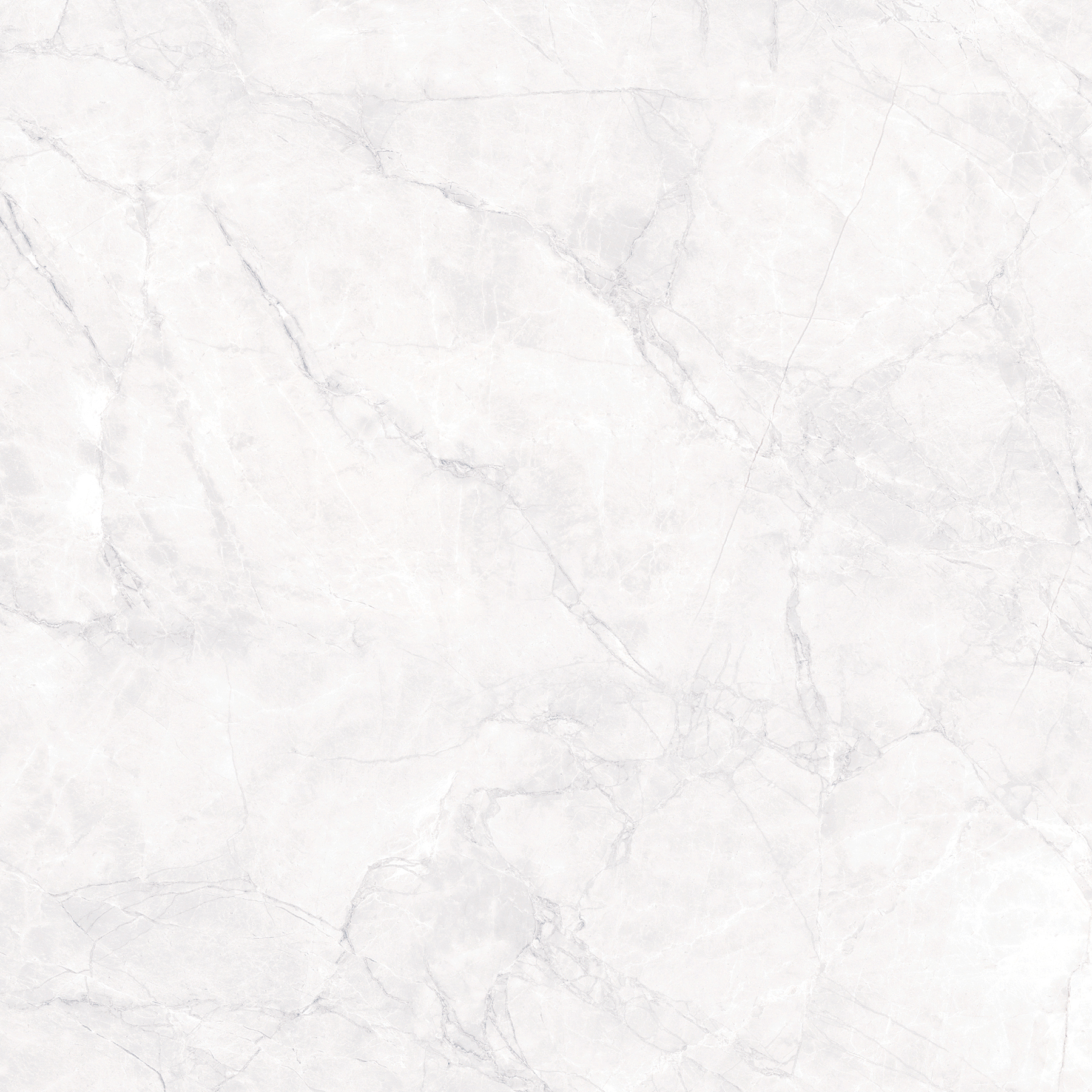 ARCTIC WHITE ARCADIA CERAMICA CR6008-A - Вид №12