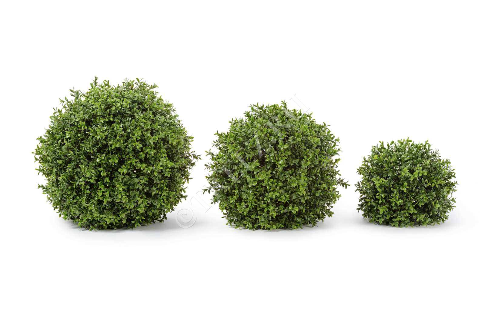 10.44650N Самшитовый шар (Декор) Цветочная коллекция 