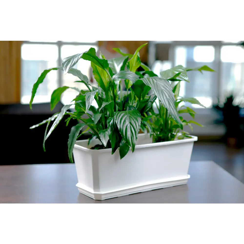 Santreyd Балконный ящик для цветов 40 см - стильное кашпо для растений 18006620 STLM-0009208 - Вид №5