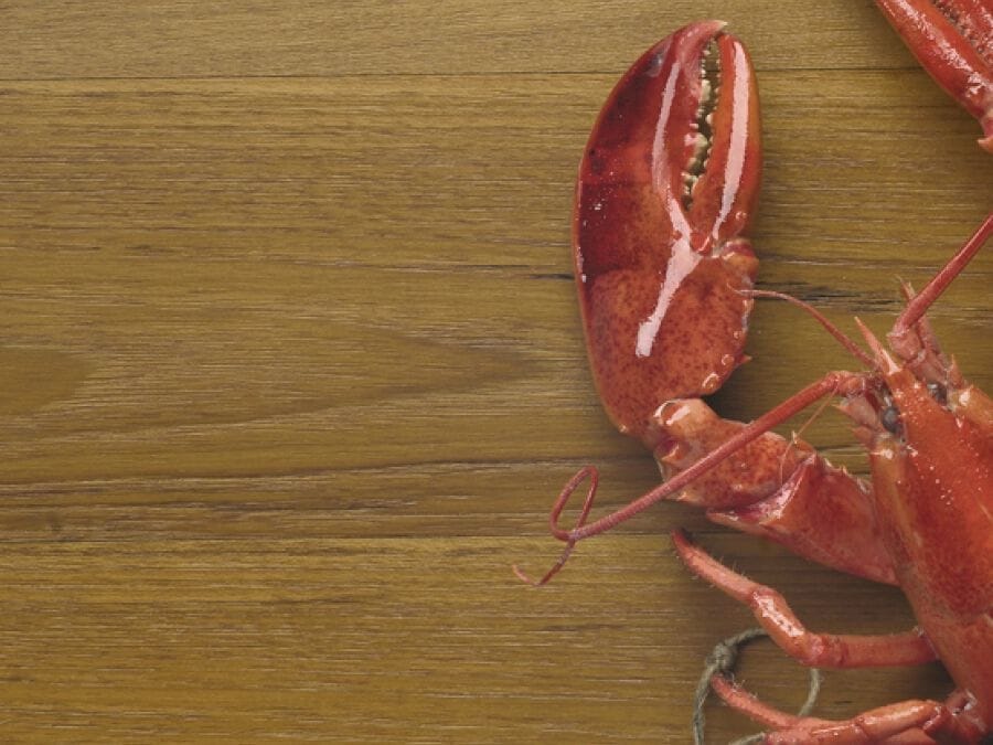 Паркет из тикового дерева Bassano Parquet I Naturali ARCH-00144976 - Вид №1