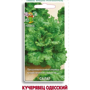 Семена Салат «Кучерявец Одесский» 83227418 STLM-2031043