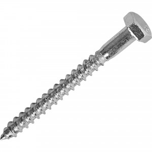 13458248 Болт сантехнический оцинкованный DIN 571 6х60