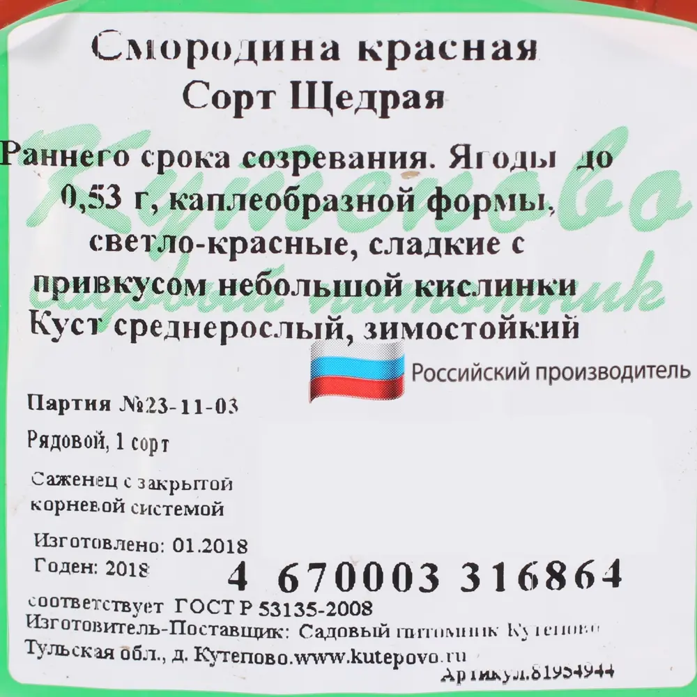 Смородина красная С2 «Щедрая» h40 81954944 STLM-2006492 Santreyd  - Вид №1