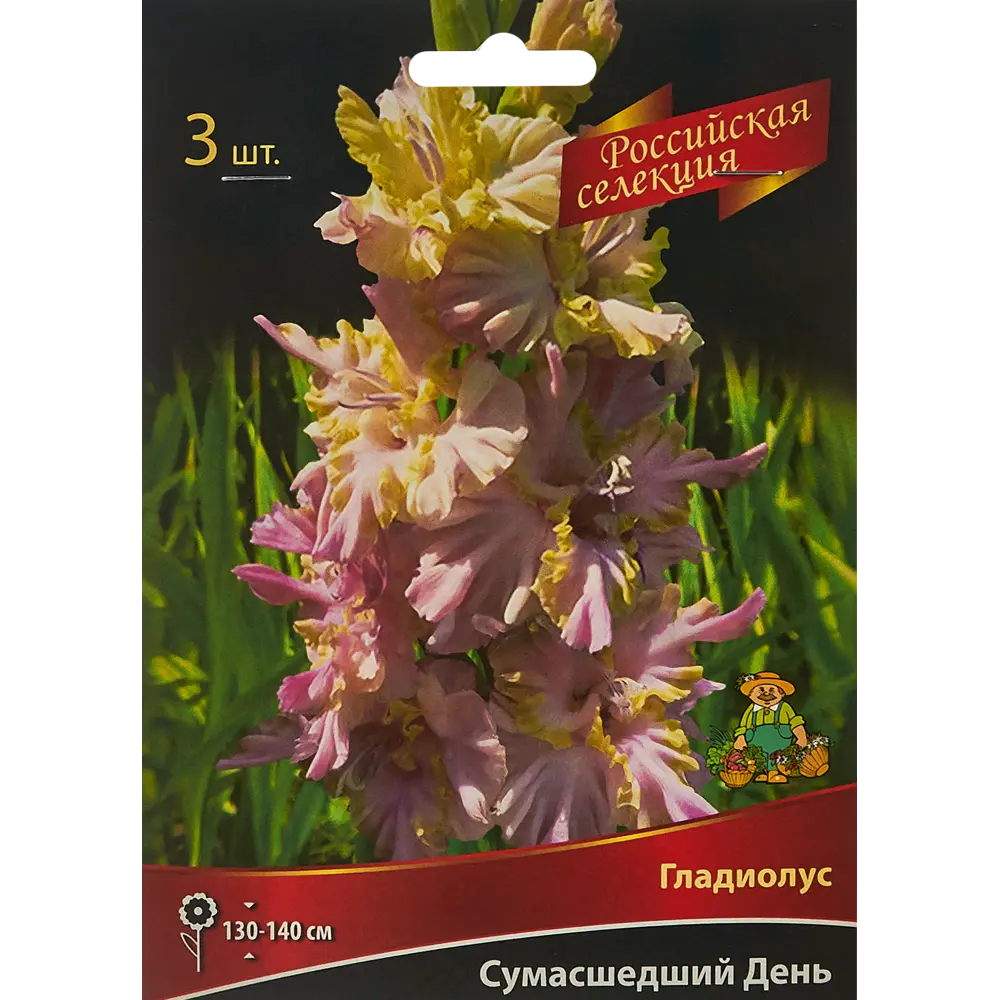 Гладиолус Сумасшедший день, 3 шт 86410004 STLM-2195003 ПОИСК 
