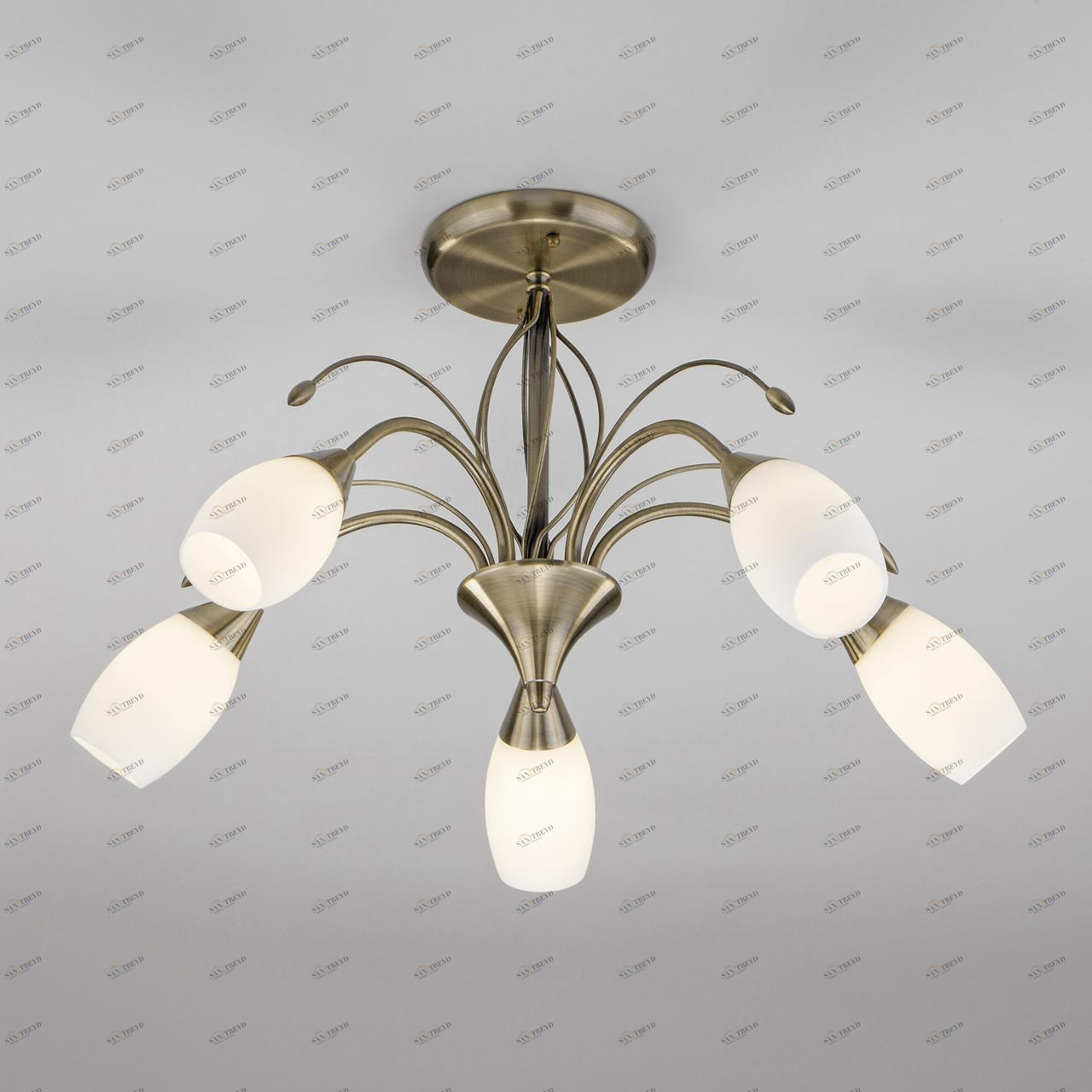 Потолочная люстра Eurosvet Ginevra 30280/5 античная бронза EUROSVET GINEVRA 328354 Белый;бронза