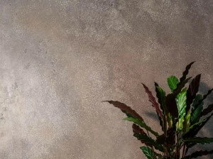 Novacolor Гидравлическое порошковое покрытие для стен на основе извести Minerals N753119